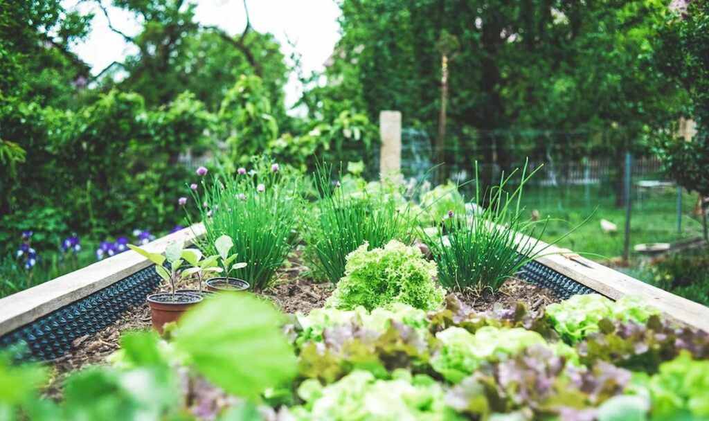 potager emplacement