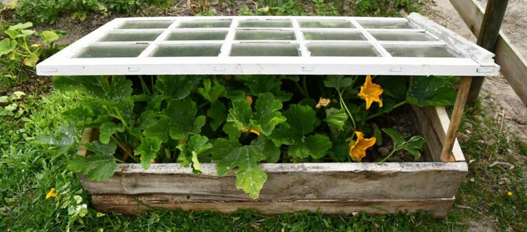 Les Solutions pour Protéger votre Potager du Froid en Hiver
