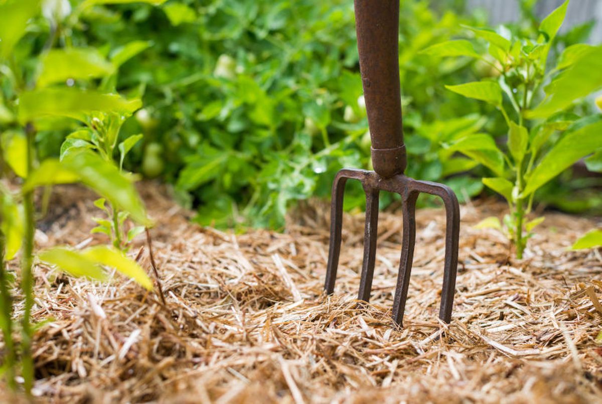 Potager du Froid en Hiver 