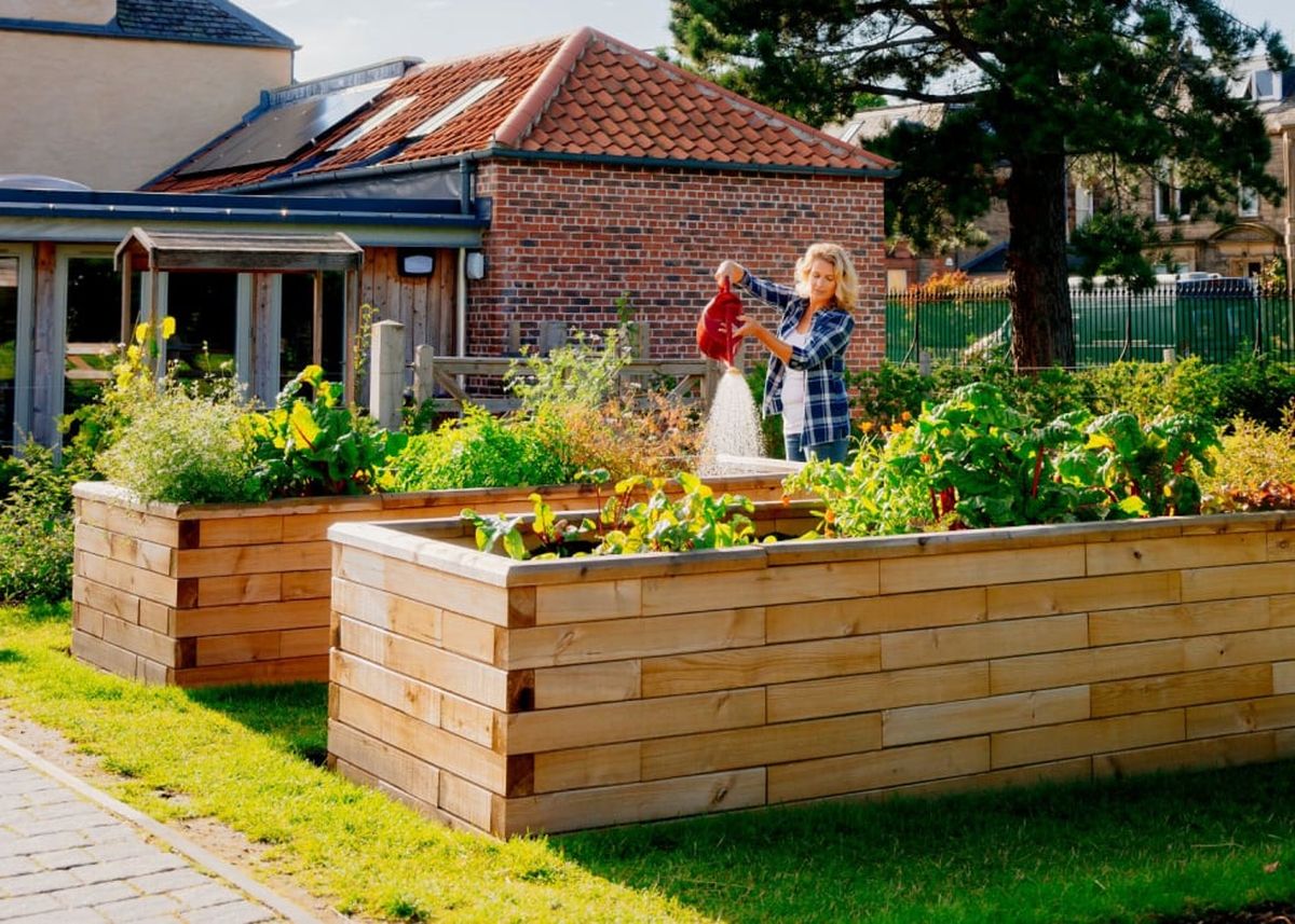 Potager surélevé pas cher