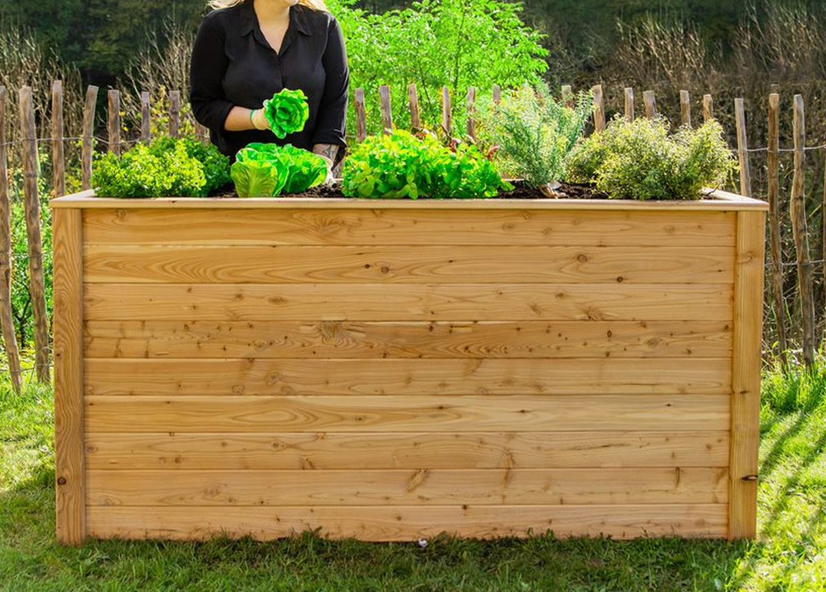 potager surélevé