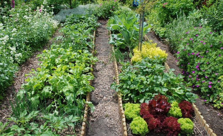 Inconvénients du potager : comprendre les défis pour une culture durable